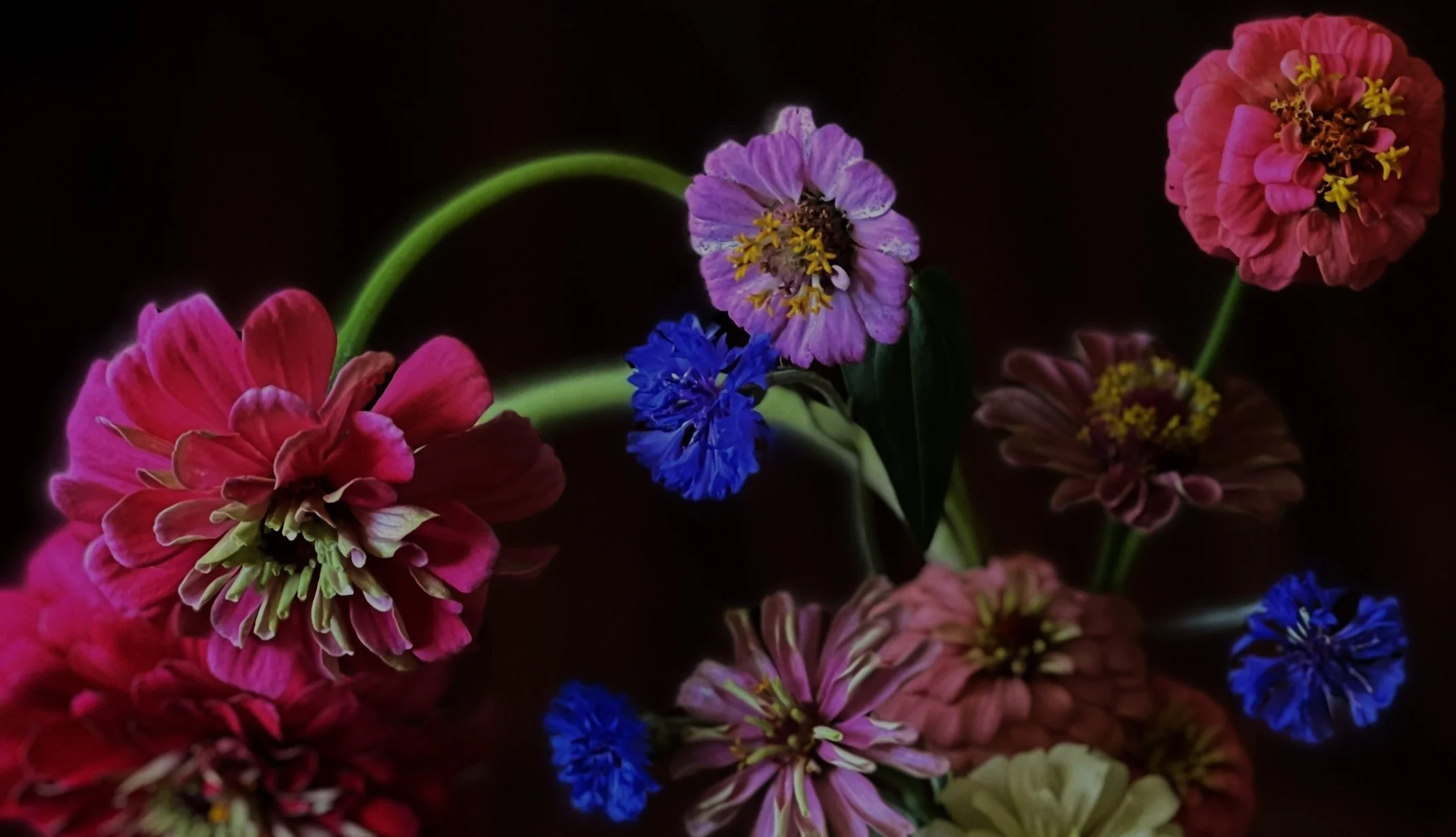 Z-Land Flower Company